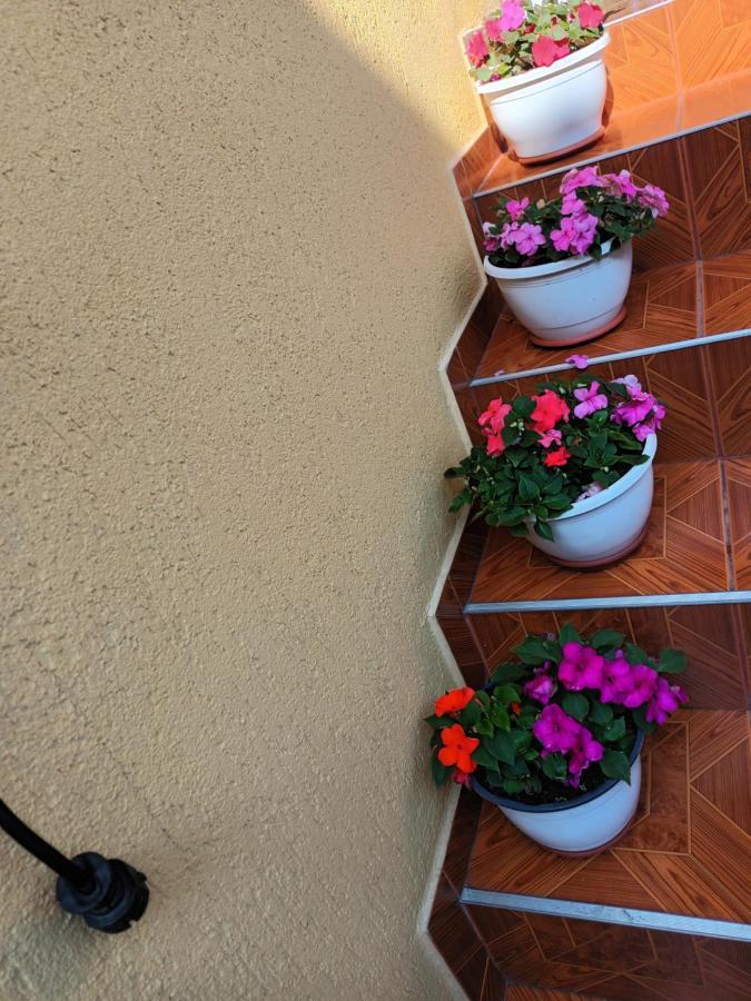 فندق Casa Vio سيفِسوارا المظهر الخارجي الصورة