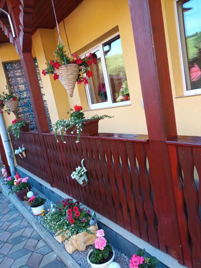فندق Casa Vio سيفِسوارا المظهر الخارجي الصورة